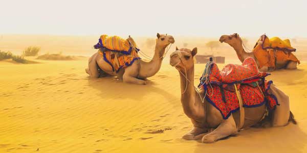4-days-jaisalmer-tour